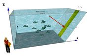 Statics - Fluid Statics - Aquarium With Wall Leaning Out