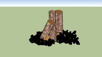 Bonfire