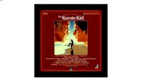 Framed Karate Kid Laserdisc Cover