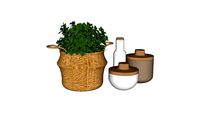 PLANTE OSIER + VASES