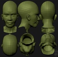 Download free Head of the character 3D Model