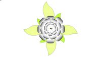 Lotus Flower