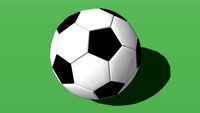 Pelota