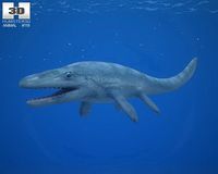 Mosasaurus Mosasaurus Hoffmannii 3D Model