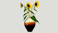 Sunflower 向日葵