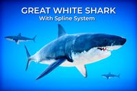 Great White Shark with Spline System