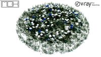 Grama con flores4