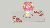 Carnation Update