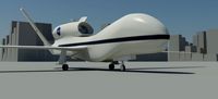 Global Hawk 3D Model