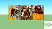 Fiori di primavera