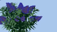 Ellens Blue