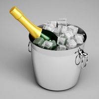 CGAxis Champagne Bottle in Ice Bucket 23 3D Model