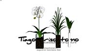 plantas+internas