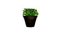 CHROMA - 2D faceme planter