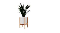 CHROMA - 2D faceme planter