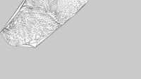 Topografia Terreno