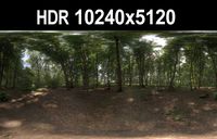 HDR 116 Forest sIBL 3D Model