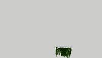 TFU Plant