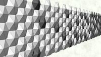 PIEL 11