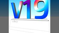 v19