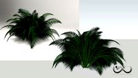 SAMAMBAIA 01
