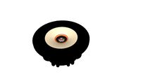 Tang Band W8-2314 Full-range 8' Driver