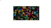 POLLOCK 16