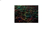 POLLOCK 13