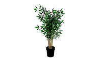 planta bambu