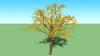 Arbre fleuri