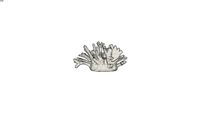 SEASIDE - Statuette corail crue H21 REF 189131 PRIX 59,99