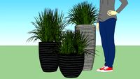 Arreglos de vegetacion