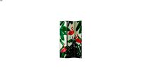 Paravent imprim flamants roses REF 176585 PRIX 69,99