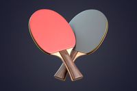Table Tennis Racket