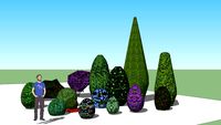 VEGETACION GEOMETRICA