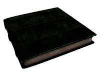 Medieval Book