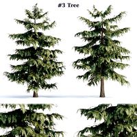 Pine trees collection vol 107