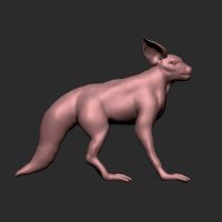 half cat half fox