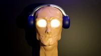 HeadFace 3D