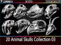 20 Animal Skulls Collection 03