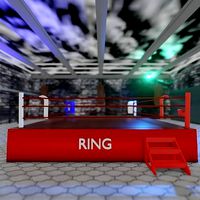 BOXEUR