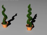 Boxwood 3D Model
