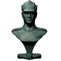 Clone Trooper republic officer Bust -3D Print model | 3D