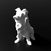 Low Poly Border Collie Dog | 3D