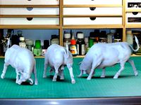 BULL ON THE CORRIDA | 3D