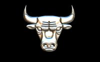 LOGO CHICAGO BULLS | 3D