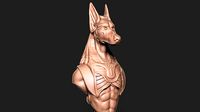 Anubis | 3D