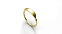 Signet ring writable model | 3D
