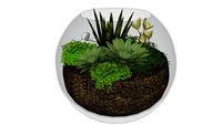TERRÁRIO SUCULENTAS
