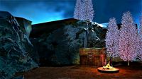 Night Jungle Scene